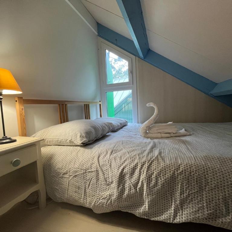 Séjour nature et détente dans la pinède - Appartement 2 Chambres - 17