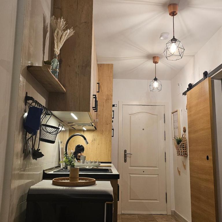 Loft on the beach and a few steps from downtown - Apartamento de 1 dormitorio - lado mar - 27