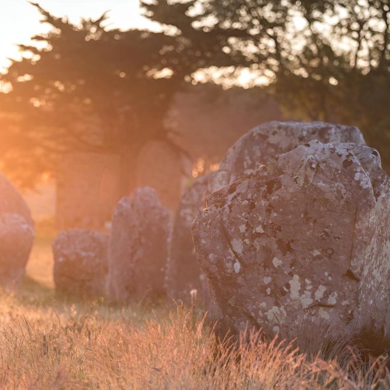Charmant studio jardin bord de mer Carnac-Plage - Monolocale - 13