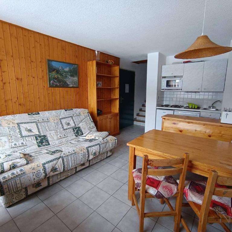Grand studio ski aux pieds, lumineux et animaux acceptés - FR-1-445-116 - Studio - 1