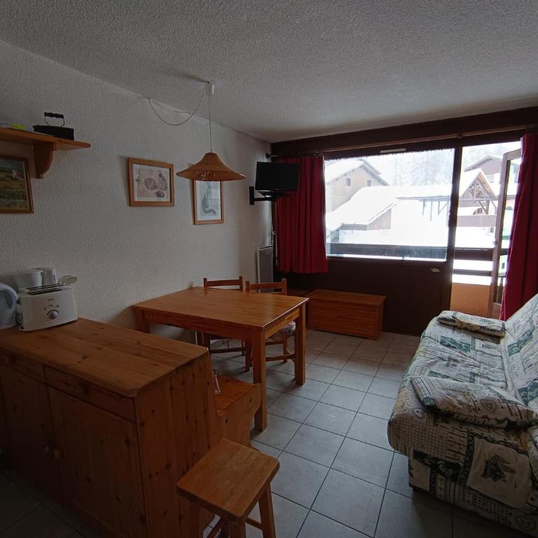 Grand studio ski aux pieds, lumineux et animaux acceptés - FR-1-445-116 - Studio - 2