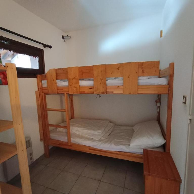 Grand studio ski aux pieds, lumineux et animaux acceptés - FR-1-445-116 - Studio - 6