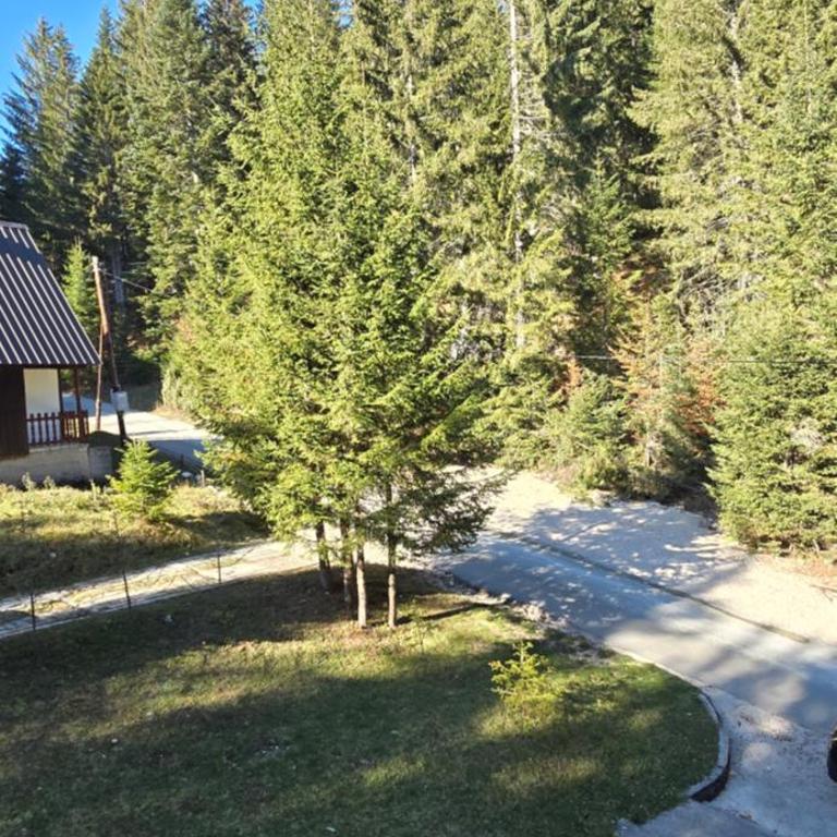 Planinska Vila - Three-Bedroom Villa - 38