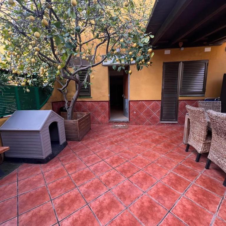 Limonero - Three-Bedroom Townhouse - 27
