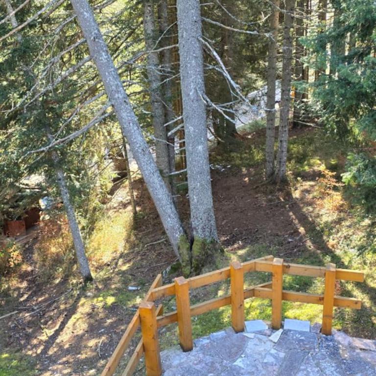 Planinska Vila - Three-Bedroom Villa - 52