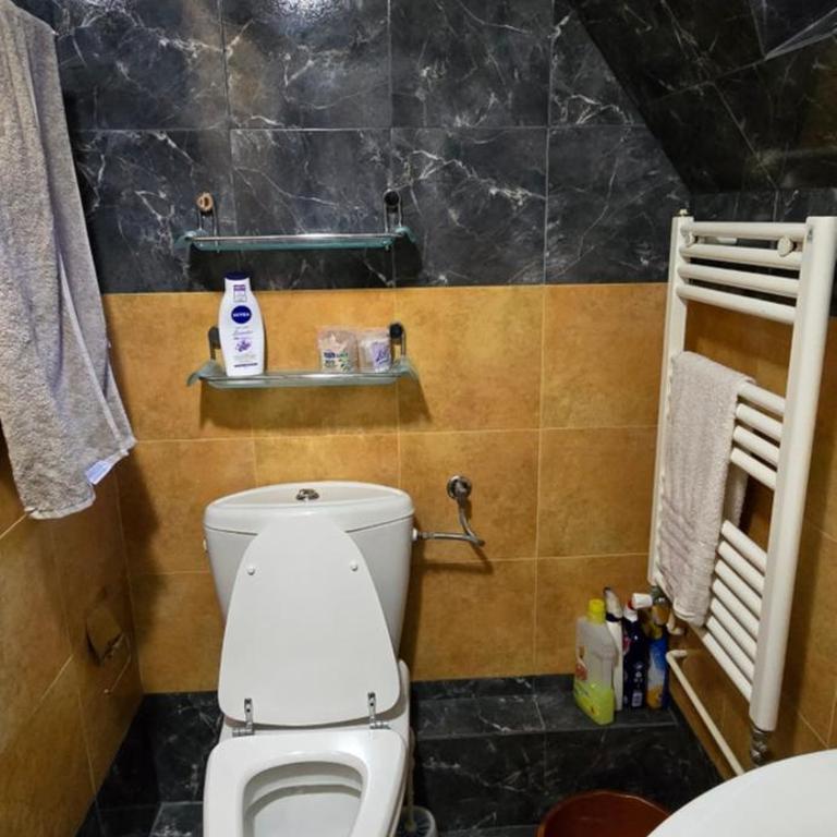 Planinska Vila - Three-Bedroom Villa - 56