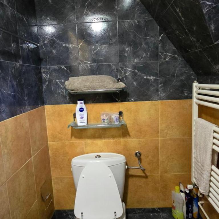 Planinska Vila - Three-Bedroom Villa - 57