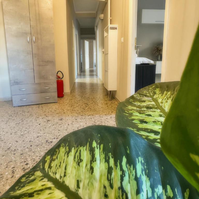 Vatican Comfortable 5 Bedroom Flat - 6 min METRO A by ORPI RENT - Appartamento - 21