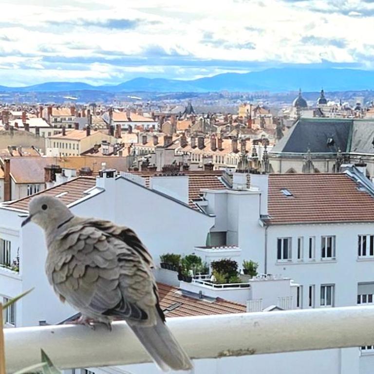 PLEIN SUD Terrasse Garage Netflix Climatisation - Appartement avec Balcon - 7