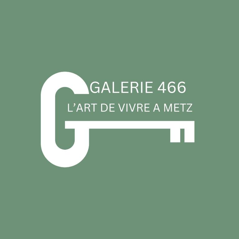Studio Galerie 466 L'art de vivre à Metz - One-Bedroom Apartment - 23