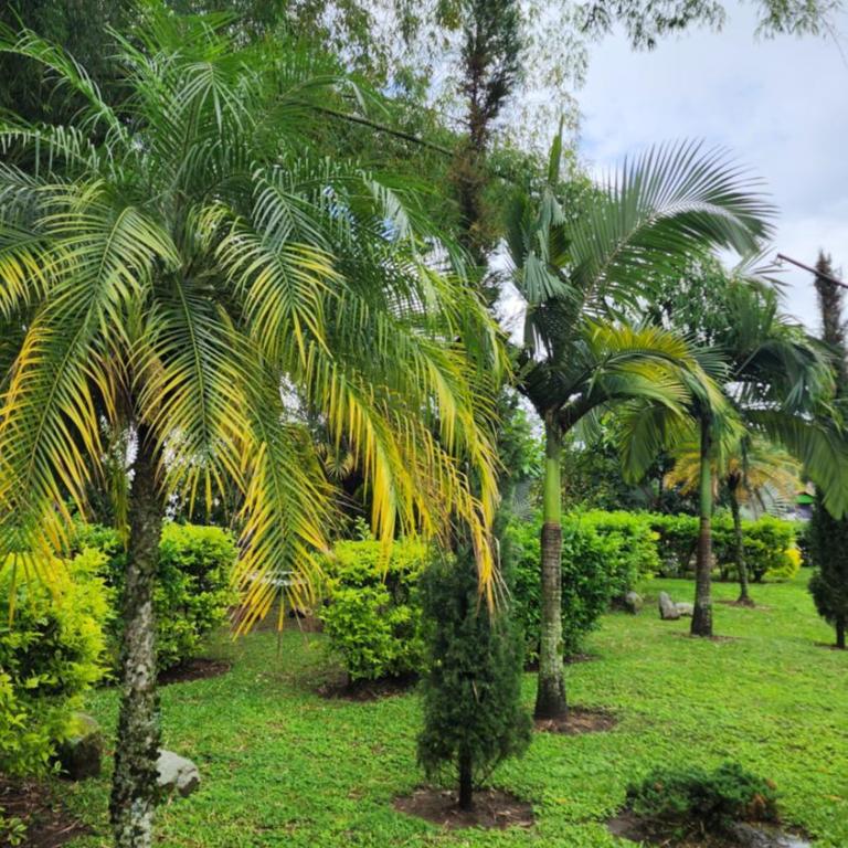 Apartamento Nuevo, Eje Cafetero, Rodeado de Naturaleza. - Apartamento de 2 dormitorios - 78