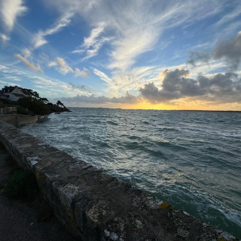 La Cormorane - Appartement 1 Chambre - 21