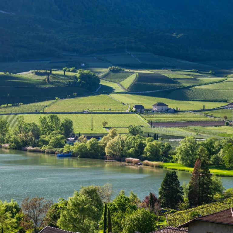 Appartements Fuchsleitenhof am See - Appartamento con 2 Camere da Letto e Vista Lago - 7