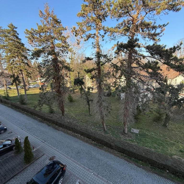 Villa Jelena - One-Bedroom Apartment with Terrace - 14