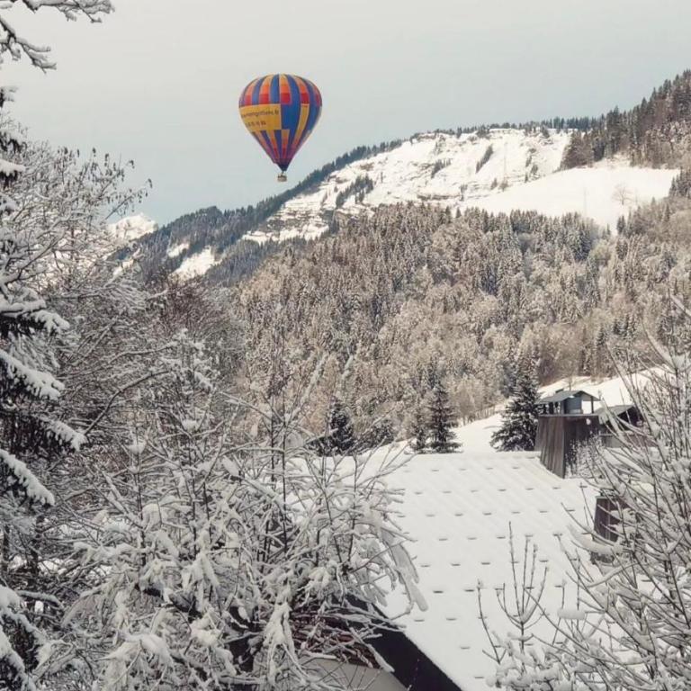 N5 Megève - Résidence de L'ours - appart 4 pers - Appartement 1 Chambre - 39