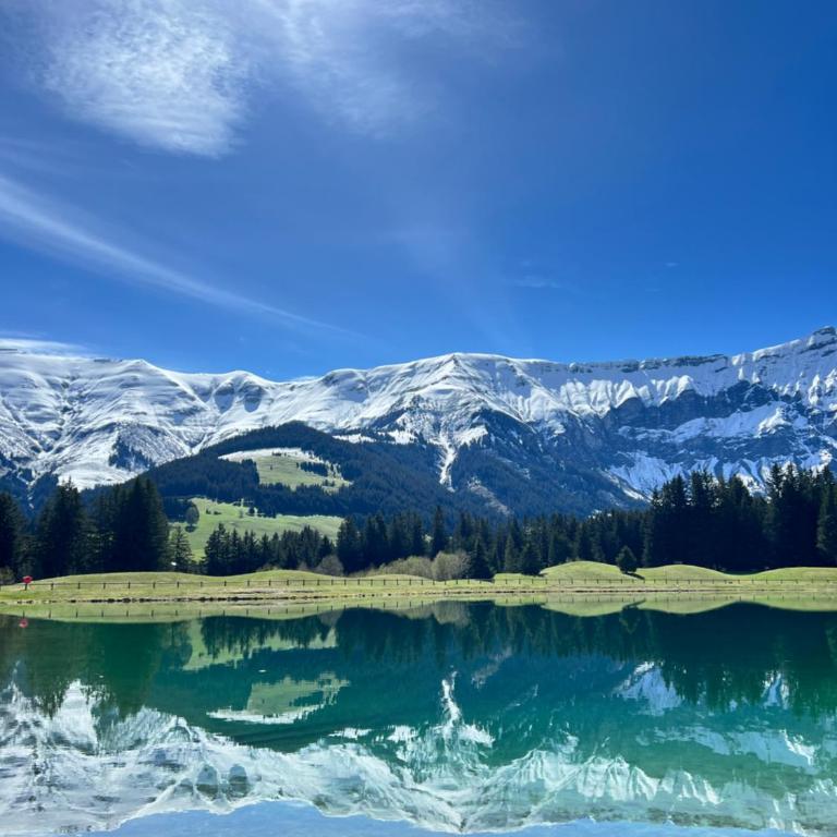 N5 Megève - Résidence de L'ours - appart 4 pers - Appartement 1 Chambre - 40