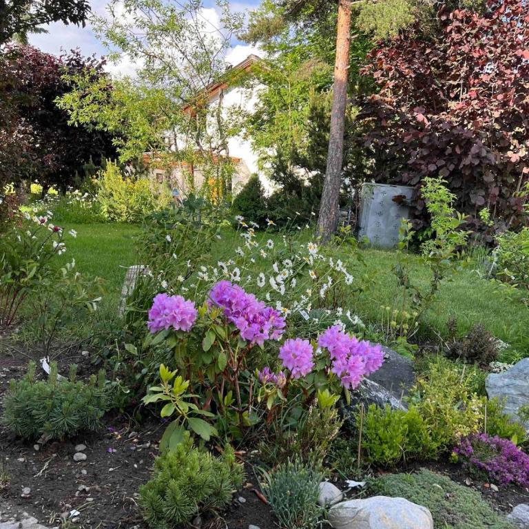 Apartment Blick Schloss Tarasp - Arventraum mit Gartenspa - Apartment mit 1 Schlafzimmer - 63