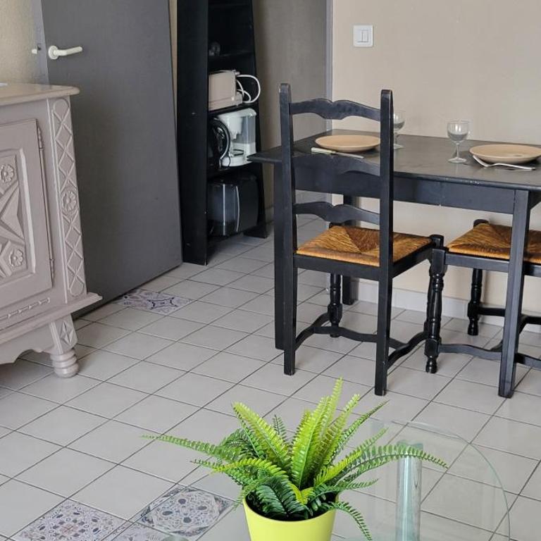 T1 parking et wifi proche centre et station tram - Apartment mit 1 Schlafzimmer - 10