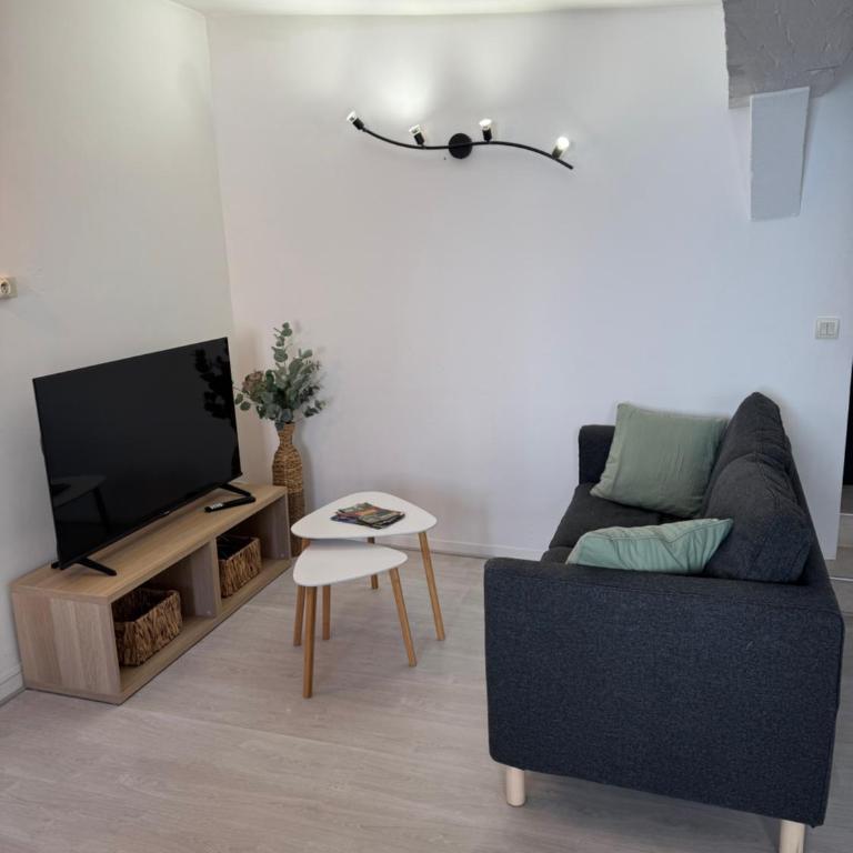 L'Escapade Amboisienne - Appartement 1 Chambre - 3