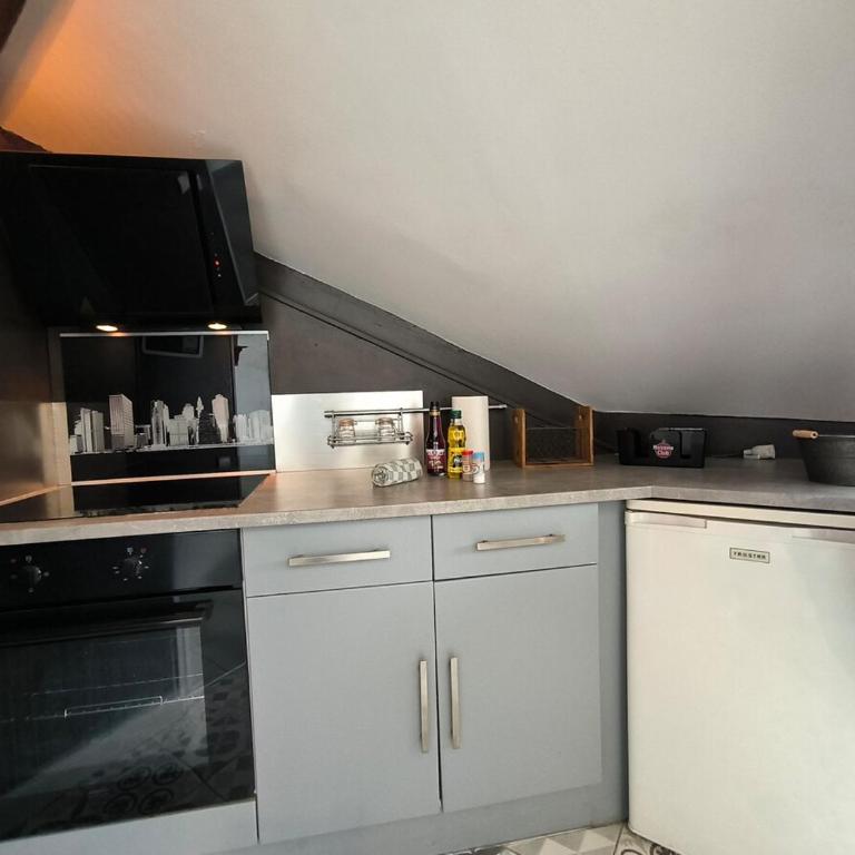 Ideal longue durée centre ville - Appartement 1 Chambre - 20