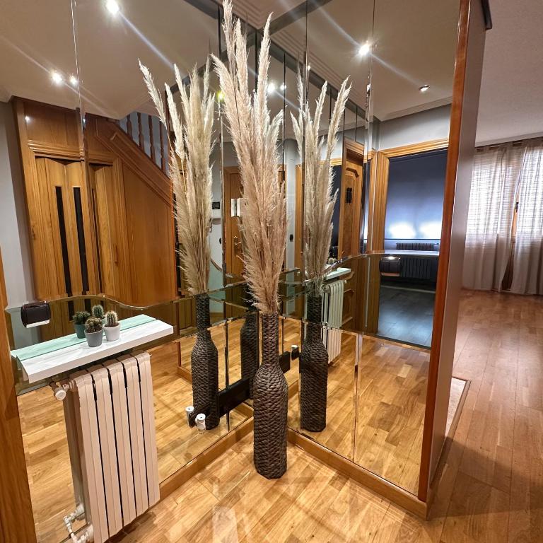 Dúplex León Centro - Apartamento de 3 dormitorios - 18