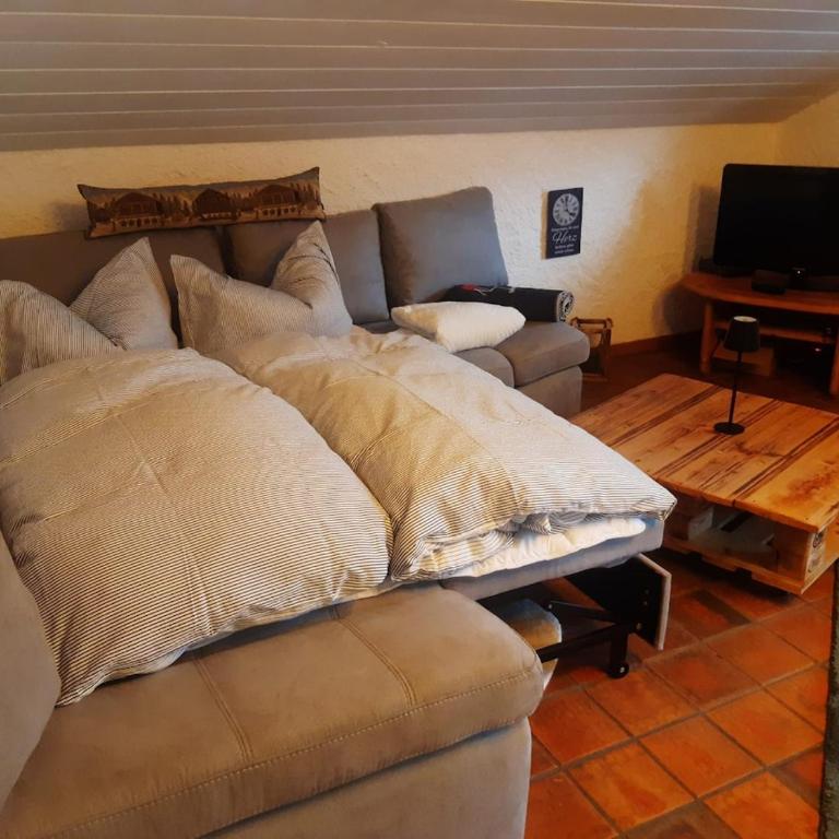 Bergheim - Garmisch - Appartement 1 Chambre - 4