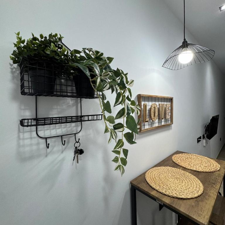 Brisas de Conil - Apartamento de 1 dormitorio - 26