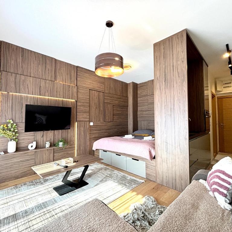 Mount Inn Ramonda - Studio s King-sajz Krevetom i Sofom na Izvlačenje - 8