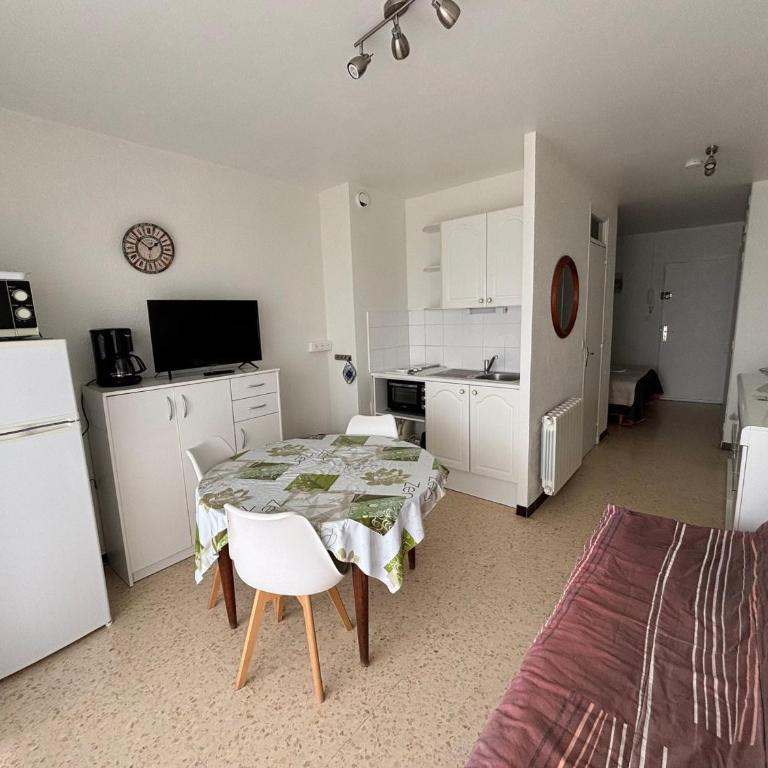 Appartement cosy face étang de Thau, animaux admis - FR-1-503-81 - Studio - 6