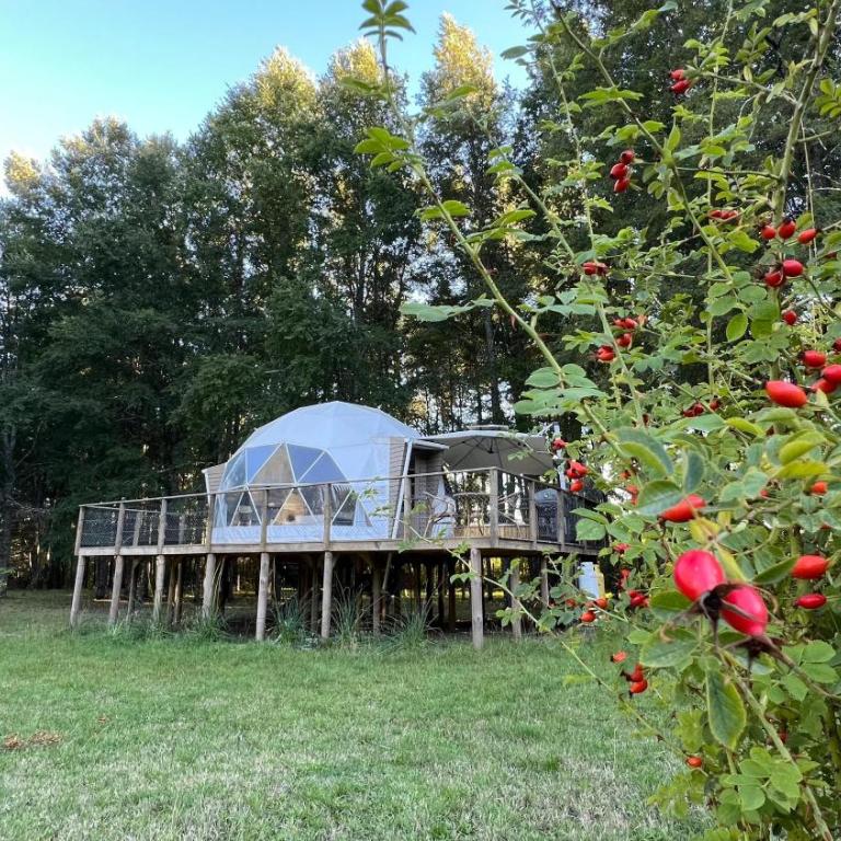 Domo Refugio - Casa con 1 dormitorio - 34