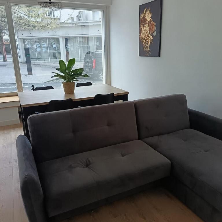 Évasion en Côte d'opale Classé 2 étoiles possibilité de parking - Appartement 1 Chambre - 12