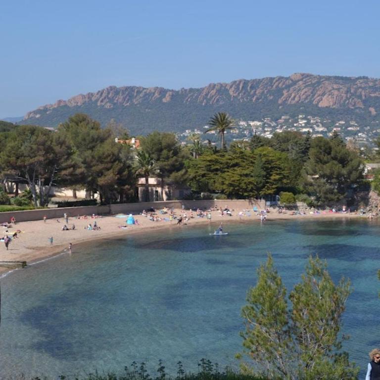 Un coin de paradis à Cap Esterel - Apartamento de 1 dormitorio - 19