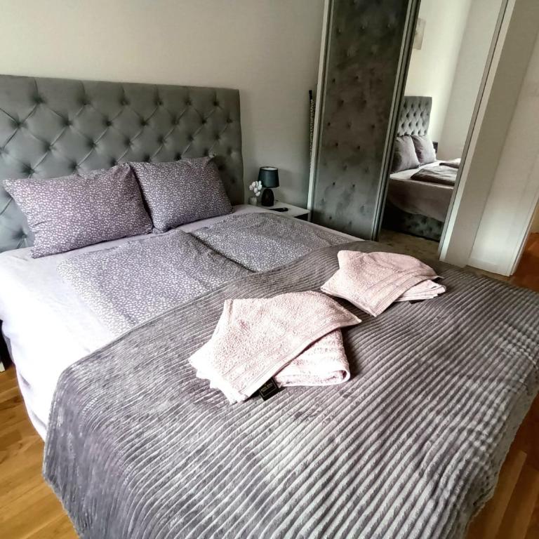 Apartman Damjan Sokobanja - Apartman sa 1 Spavaćom Sobom - 19