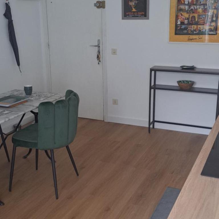 A 50m des cures libre mi septembre joli studio rénové orienté Nord bien ventilé - Appartement 1 Chambre - 17