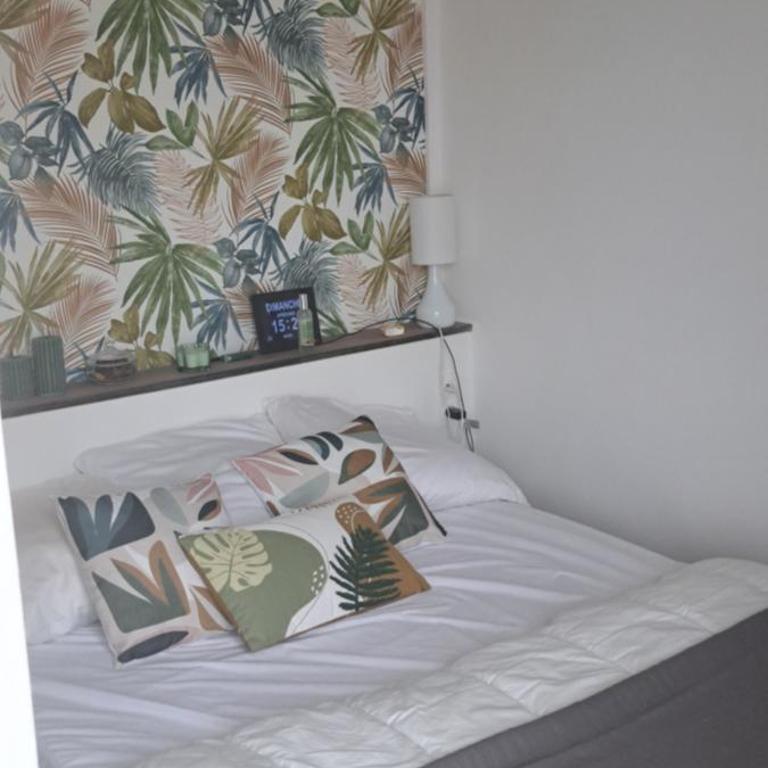A 50m des cures libre mi septembre joli studio rénové orienté Nord bien ventilé - Appartement 1 Chambre - 18