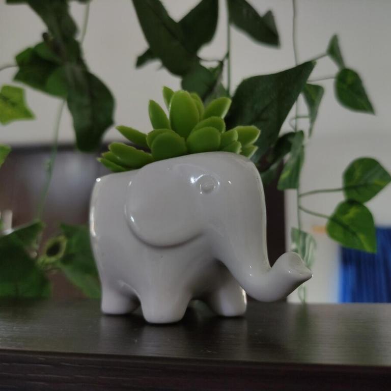 Alojamiento ideal en zona comercial - Apartamento de 1 dormitorio - 5