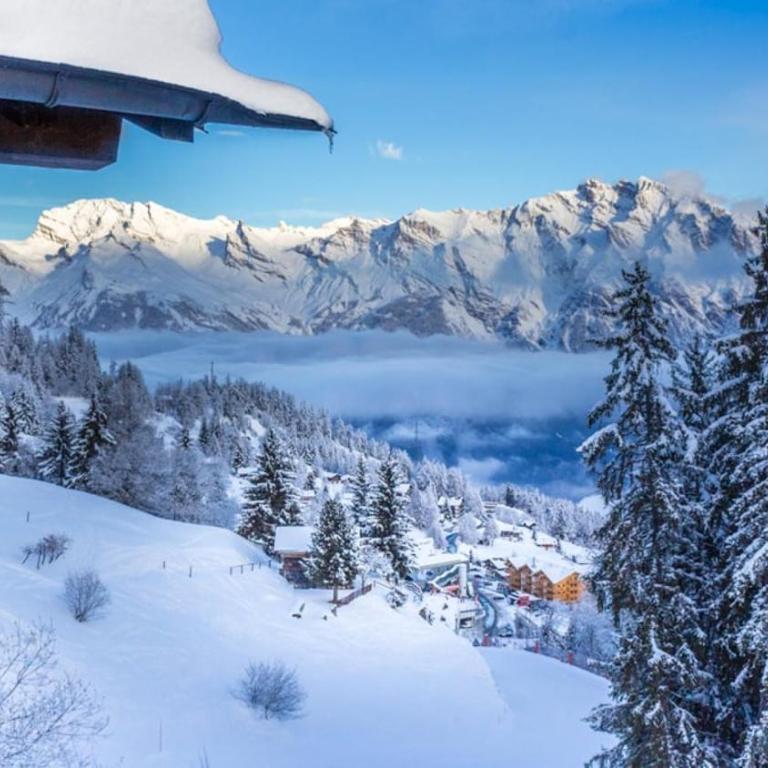 Alpine Cozy Nest - La Planchette - Apartment mit 1 Schlafzimmer - 11