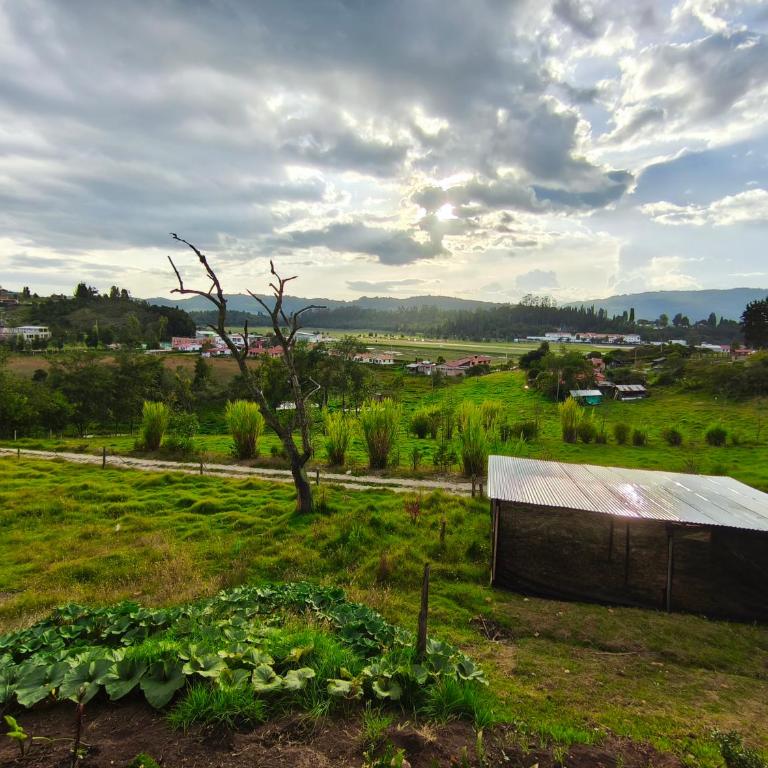 Cabaña Loto - Paipa - Casa de 3 dormitorios - 18