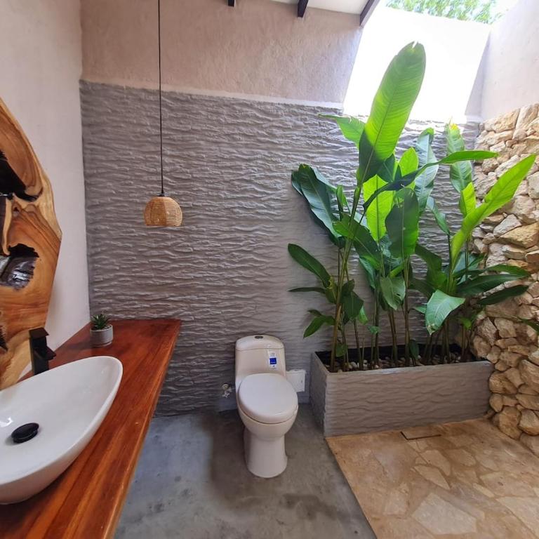 Casa Elixir - Casa de 3 dormitorios - 19