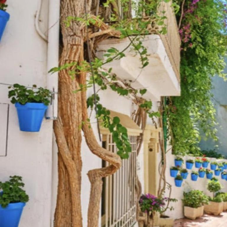 New Aires de Guadaiza apartment - Two-Bedroom Apartment with Mountain View - 11