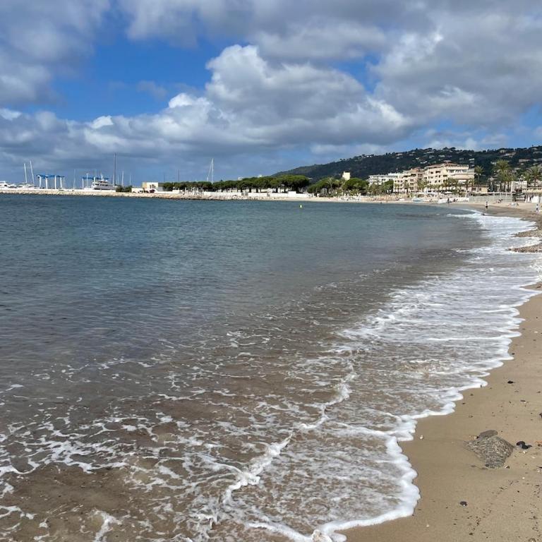 Le Coeur de Golfe Juan - 9 min to sea - Appartamento con 1 Camera da Letto - 9
