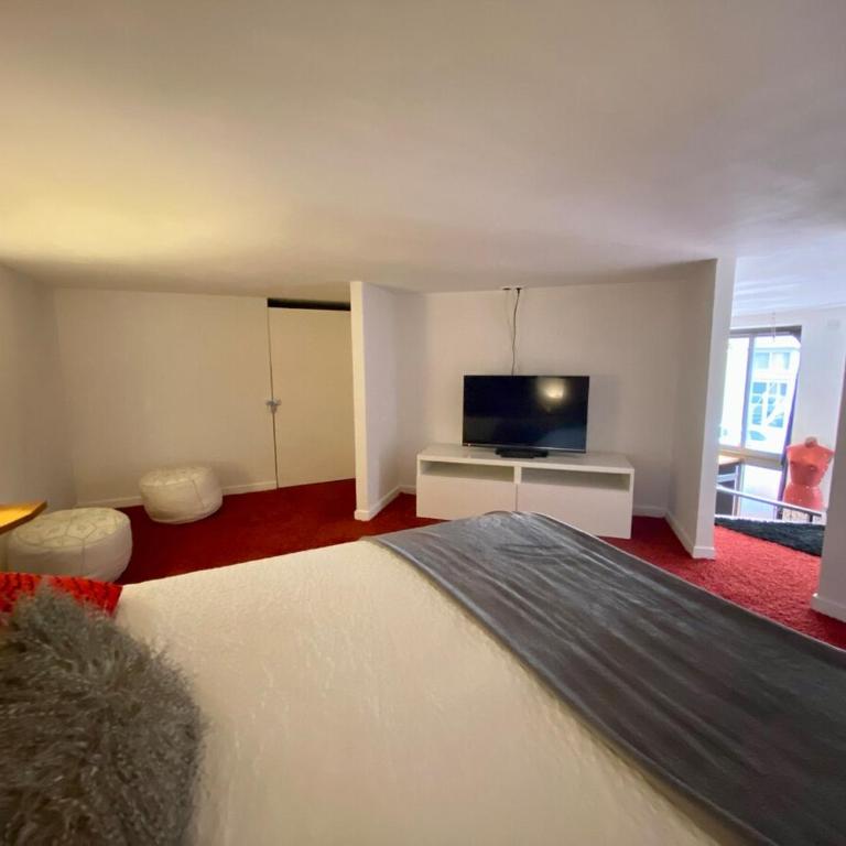 LE LOFT des Charmettes - Appartement 1 Chambre - 8