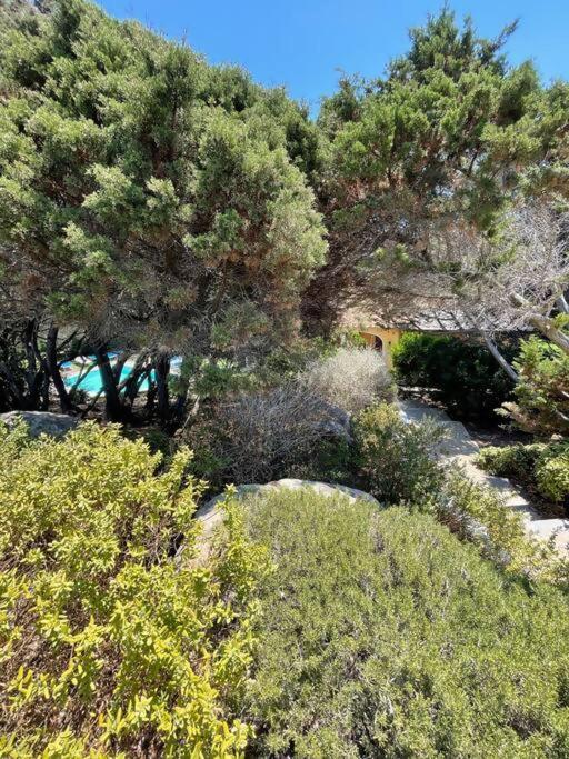 Villa Di Canio, Piscina privata, Wi-Fi & Netflix - Villa - 3