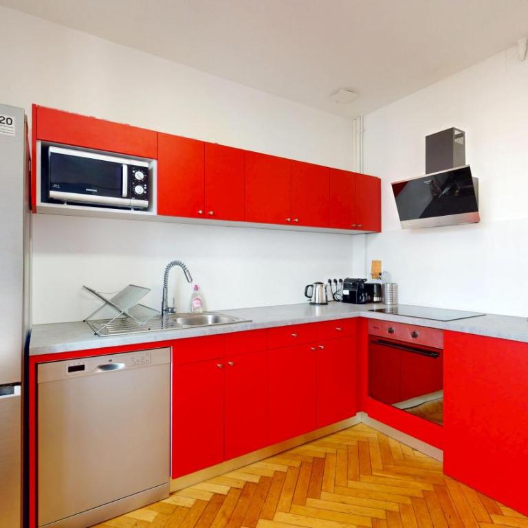 Strasbourg Appart Rue du 22 Novembre - Apartamento Wyler de 2 dormitorios con 2 baños - 15
