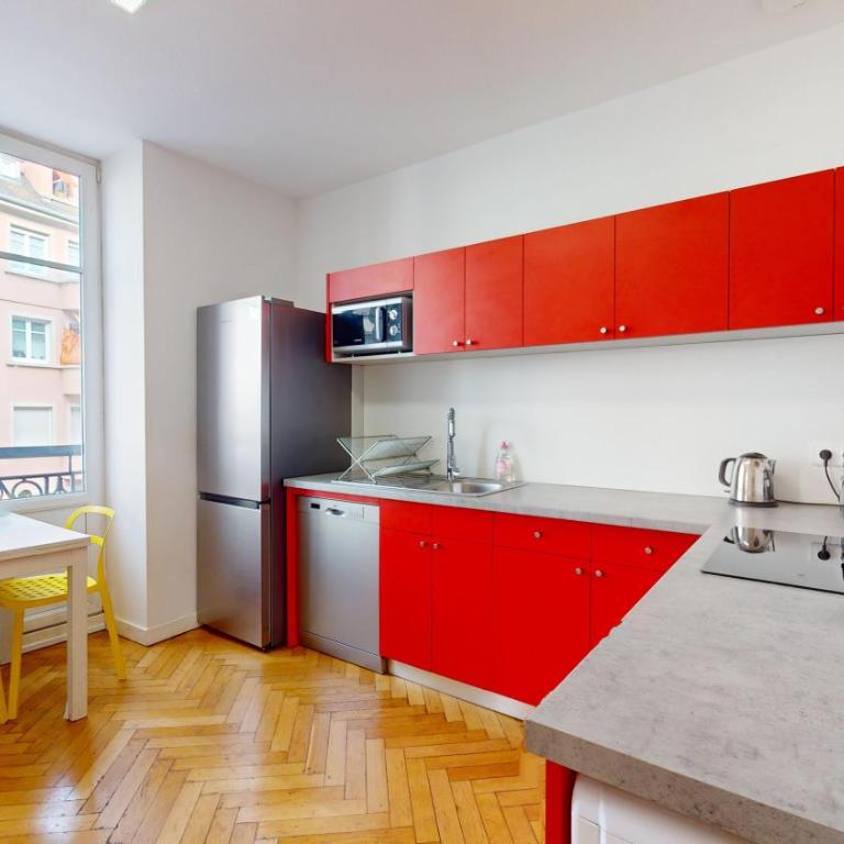 Strasbourg Appart Rue du 22 Novembre - Apartamento Wyler de 2 dormitorios con 2 baños - 2