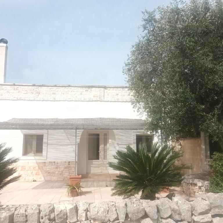 Trullo Amico - Casa con 1 Camera da Letto - 17