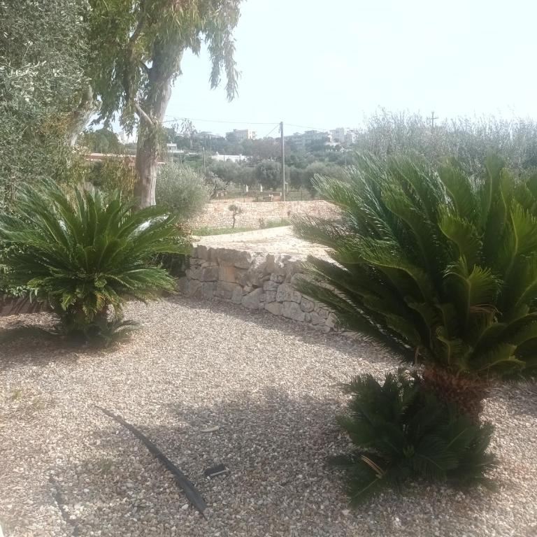Trullo Amico - Casa con 1 Camera da Letto - 27