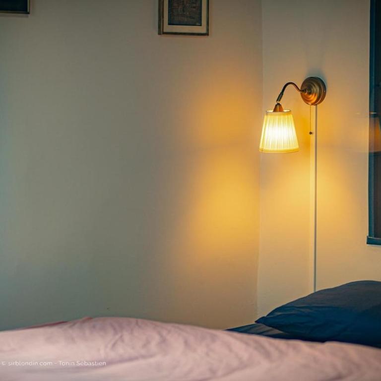 Romantic Suite Bellevue et Parking - One-Bedroom Deluxe Apartment - 18