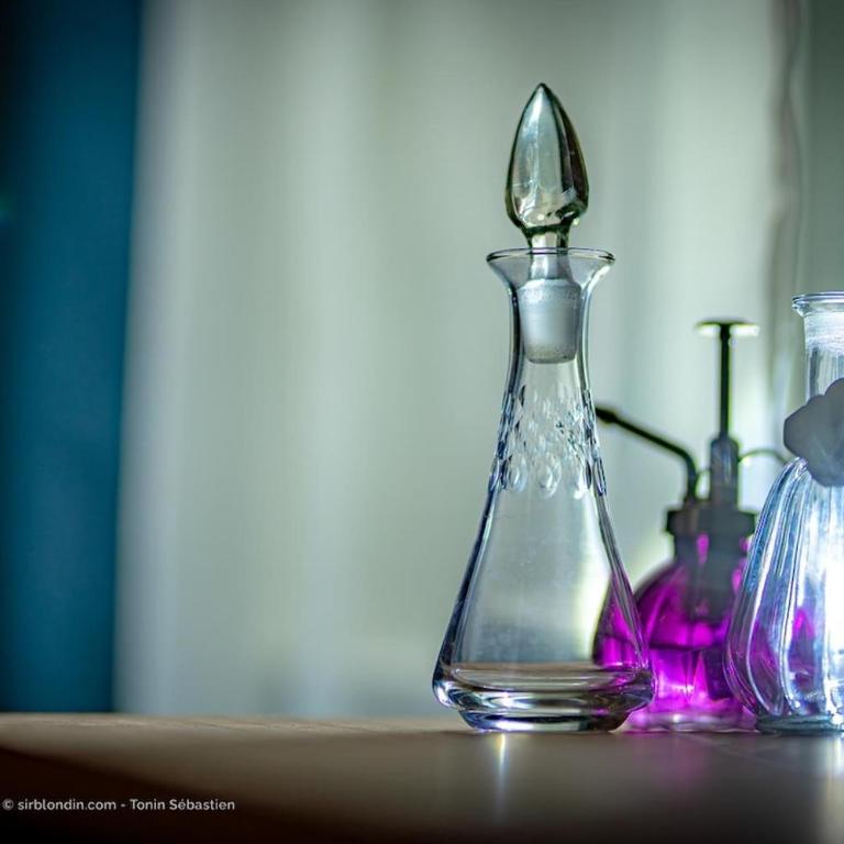Romantic Suite Bellevue et Parking - One-Bedroom Deluxe Apartment - 9