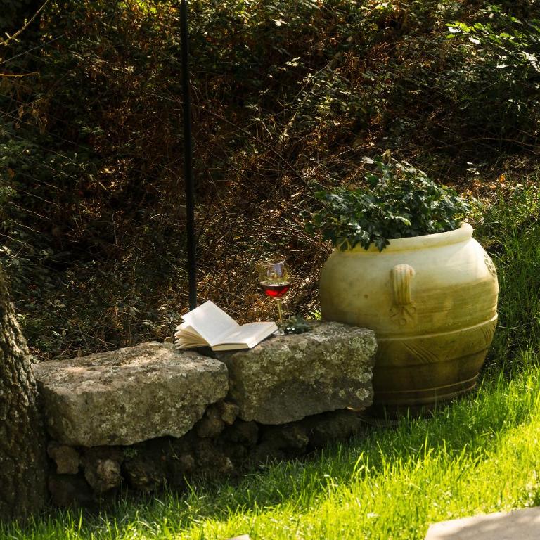 Villa del Gelso - Chalet nel Parco dell'Etna - Villa - 6
